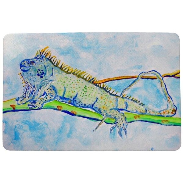 Betsy Drake Betsy Drake DM770G Iguana Door Mat - 30 x 50 in. DM770G - main
